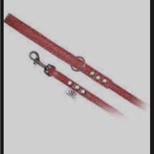 Stylish Red Dog Leash with Metal Accents